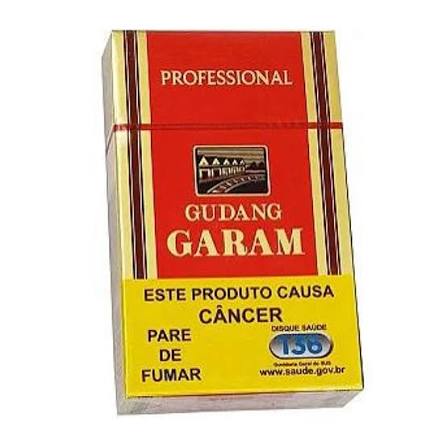 GUDANG GARAM PROFESSIONAL