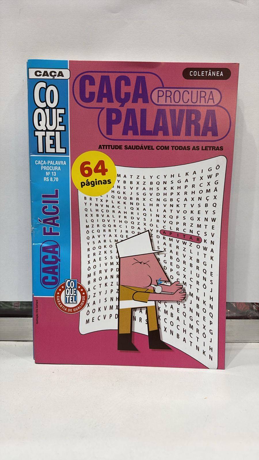 CAÇA PALAVRAS PROCURA N13