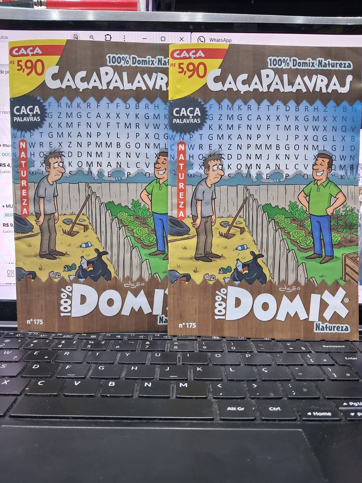 CAÇA PALAVRAS 100%  DOMIX NATUREZA