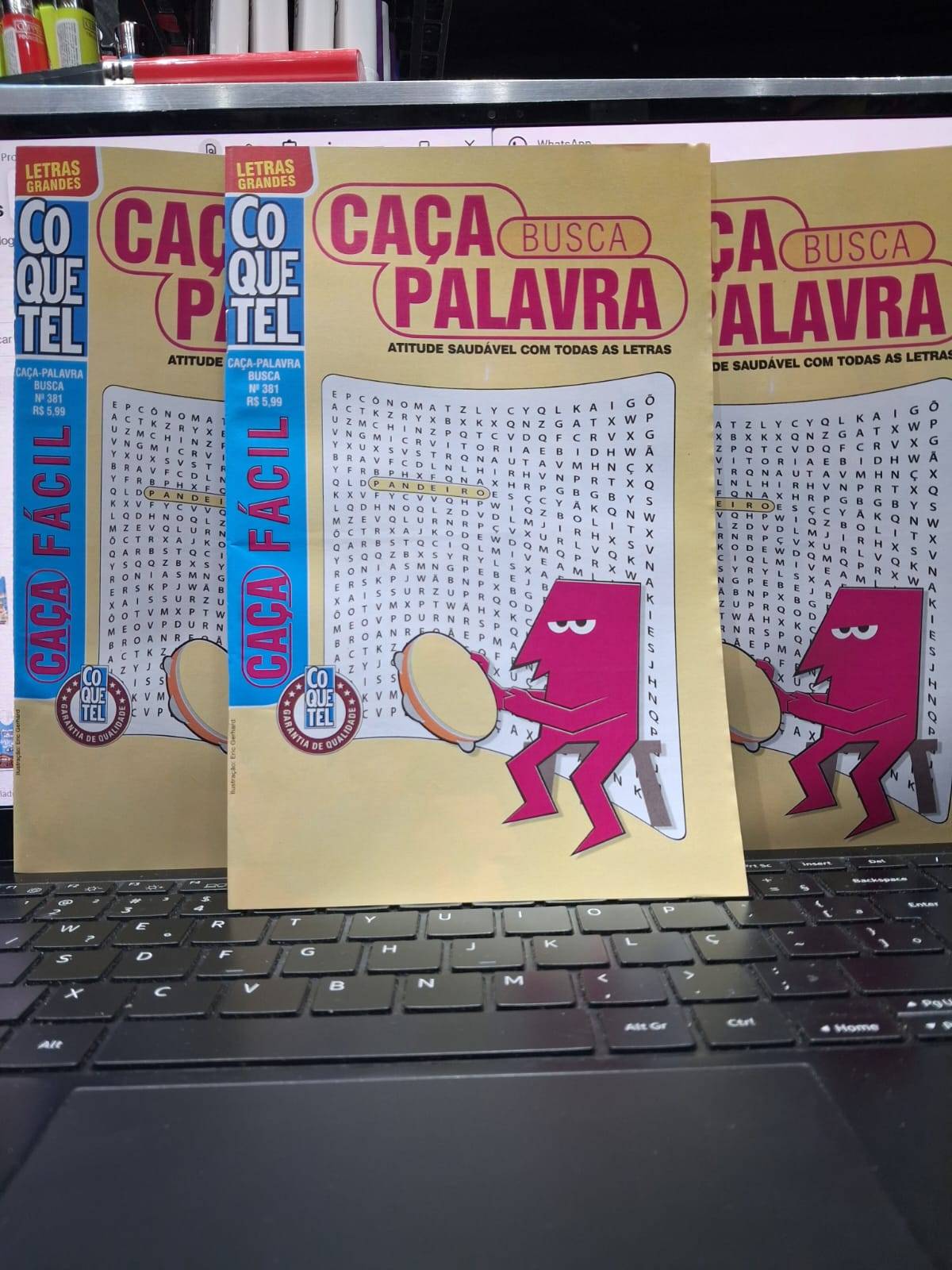 BUSCA PALAVRA n 381