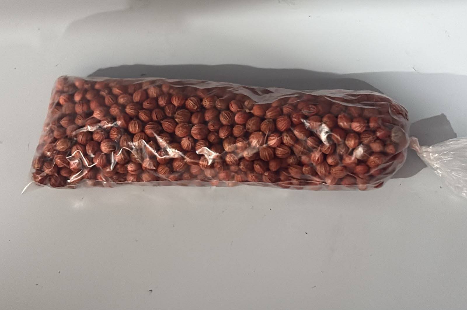 COENTRO VERDAO - 15g
